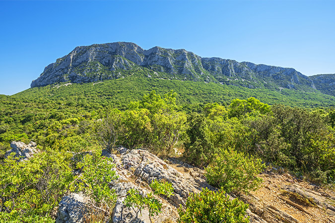 GR de Pays Tours dans le Grand Pic Saint-Loup - Tour des vignes au causse